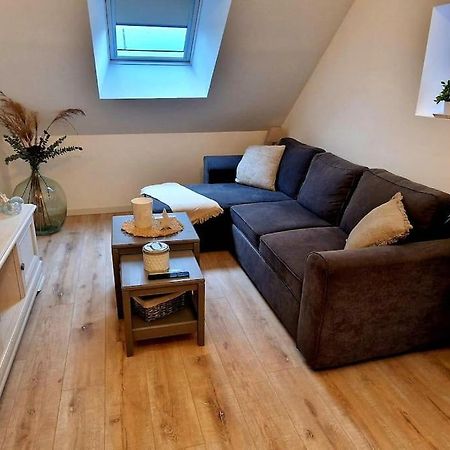 Appartement Charmant Et Spacieux Auxerre Eksteriør bilde