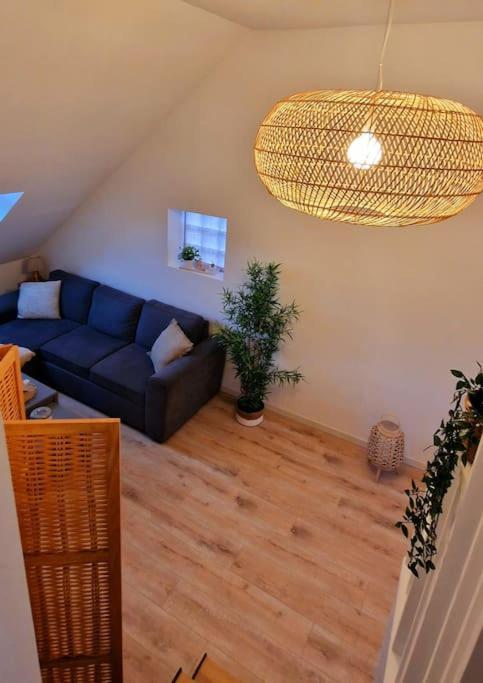 Appartement Charmant Et Spacieux Auxerre Eksteriør bilde